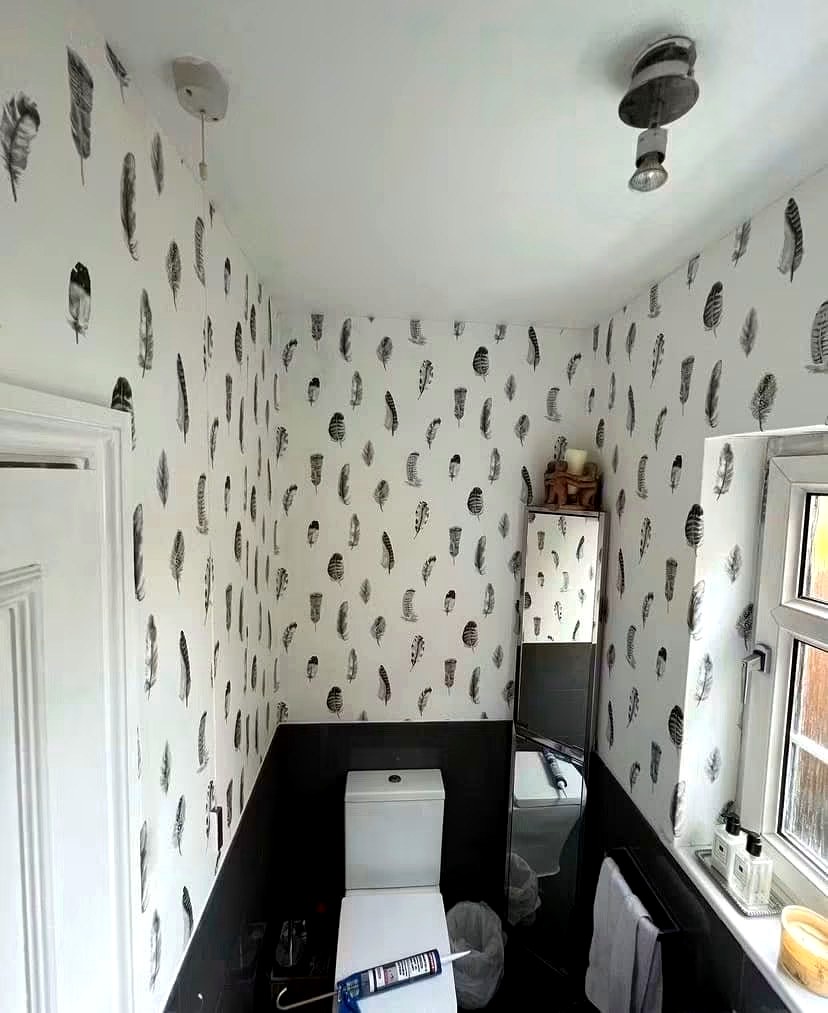 Patterned wallpaper feature room